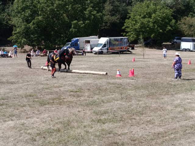 IMG_20260808_130712